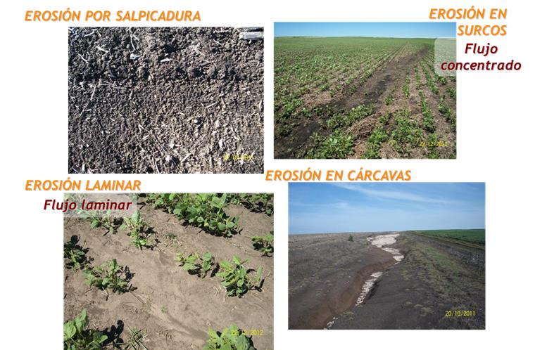 Cuales Son Los Principales Agentes De La Erosion Del Suelo - Ripo